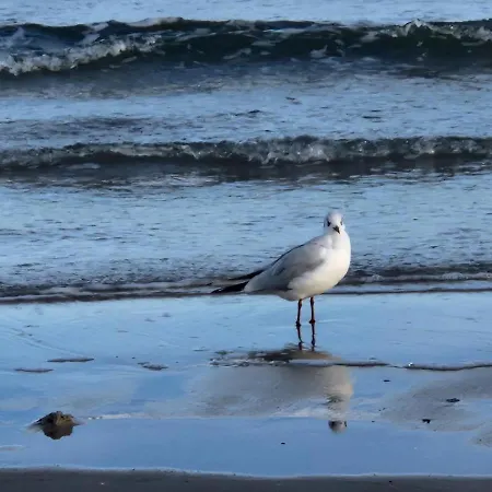 Berliner Hof App. 109 샬베우츠