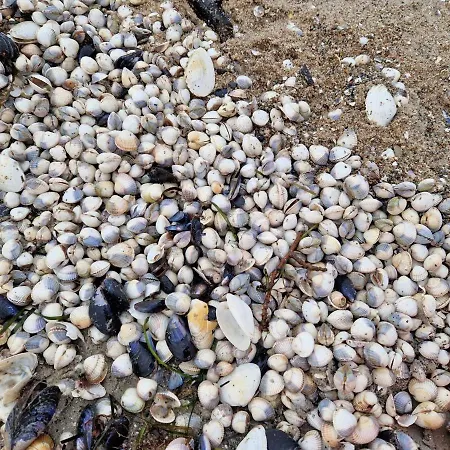 Berliner Hof App. 109 아파트 *