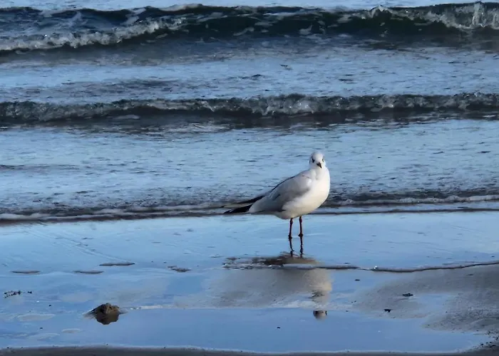 Berliner Hof App. 109 Apartamento Scharbeutz