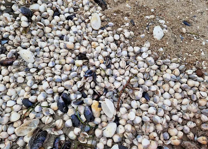 Berliner Hof App. 109 Apartamento